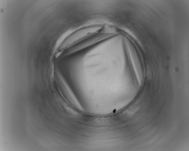 X0000075821366200610061746