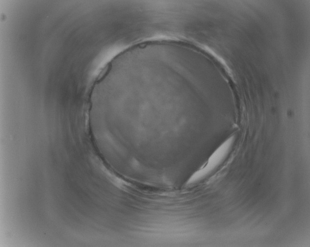 X0000075821367200610061746