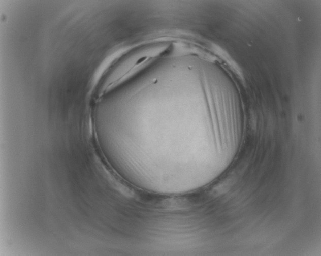 X0000075821368200610061746