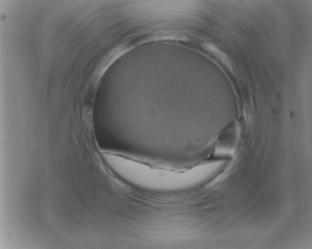 X0000075821369200610061746