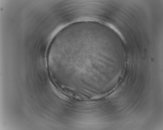 X0000075821372200610061746