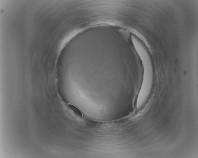 X0000075821373200610061746