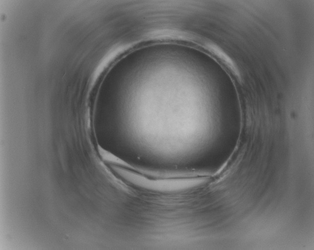 X0000075821376200610061746