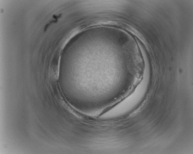 X0000075821377200610061746