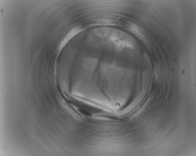 X0000075821378200610061746