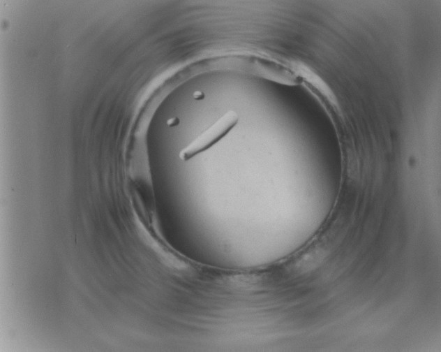 X0000075821380200610061746