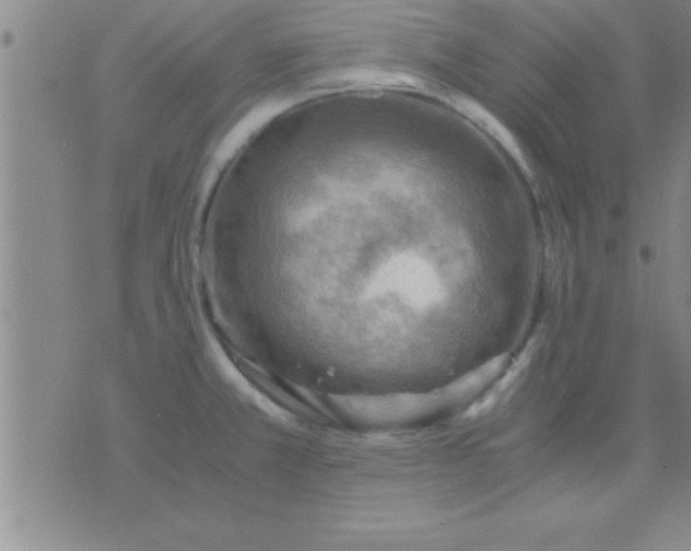 X0000075821381200610061746