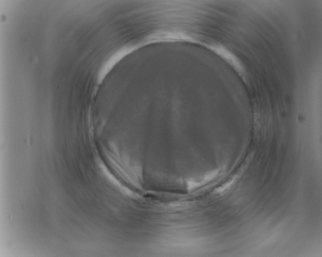 X0000075821382200610061746