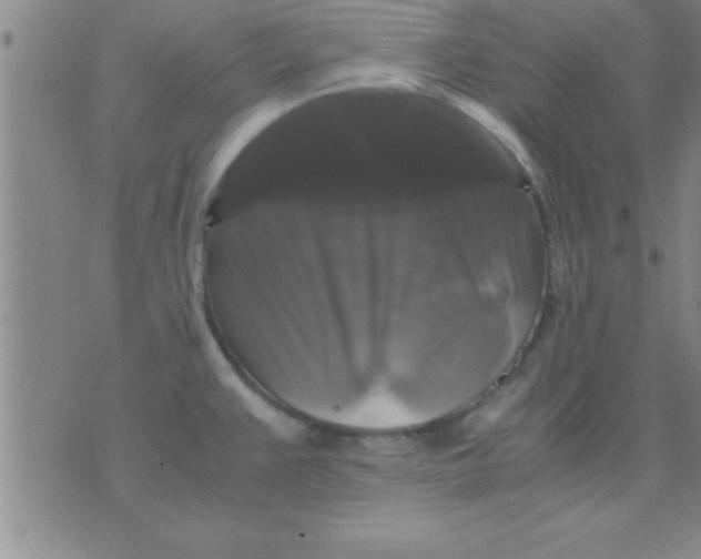 X0000075821383200610061746