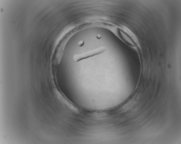 X0000075821384200610061746