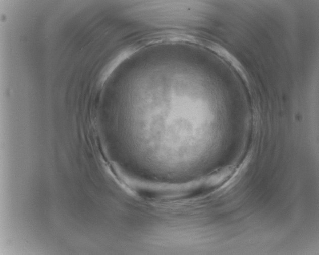 X0000075821385200610061746