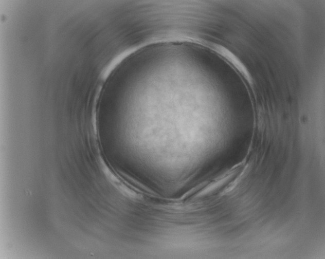 X0000075821388200610061746