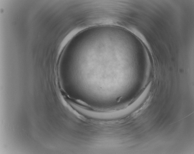 X0000075821389200610061746