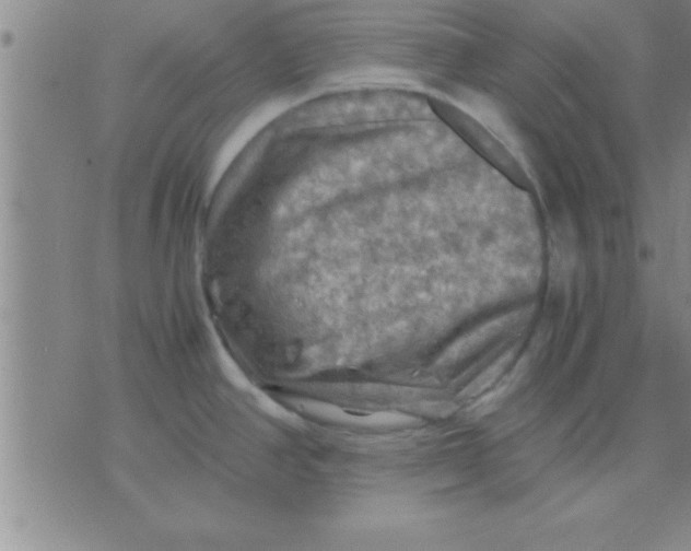 X0000075821390200610061746