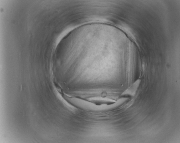 X0000075821391200610061746