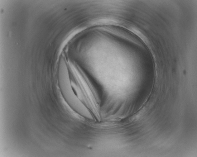 X0000075821392200610061746