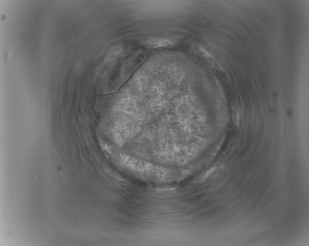 X0000075821393200610061745