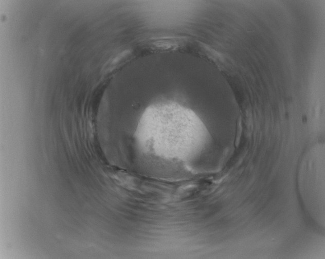 X0000075821394200610061745