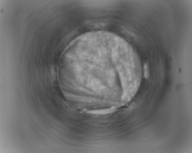 X0000075821395200610061745