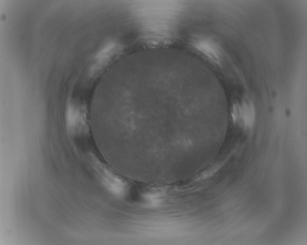 X0000075821396200610061745