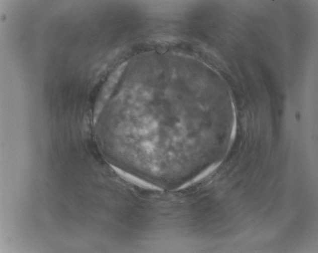 X0000075821397200610061745