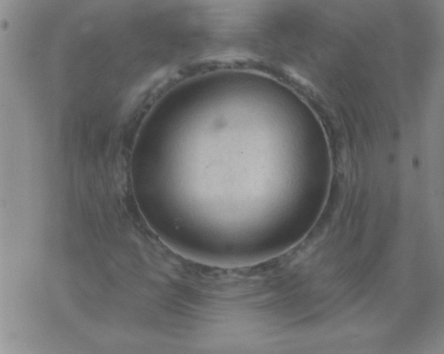 X0000075821398200610061745