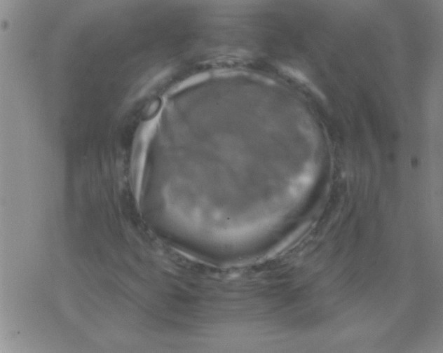 X0000075821399200610061745