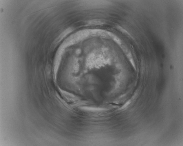 X0000075821401200610061745