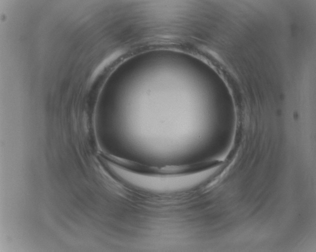 X0000075821402200610061745