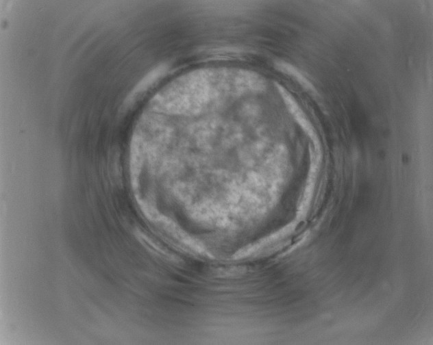 X0000075821403200610061745