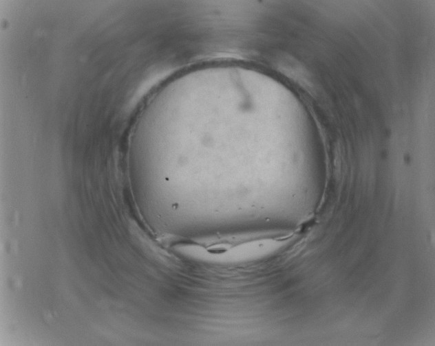 X0000075821404200610061745