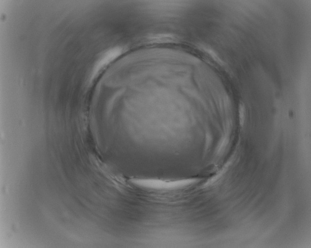 X0000075821405200610061745