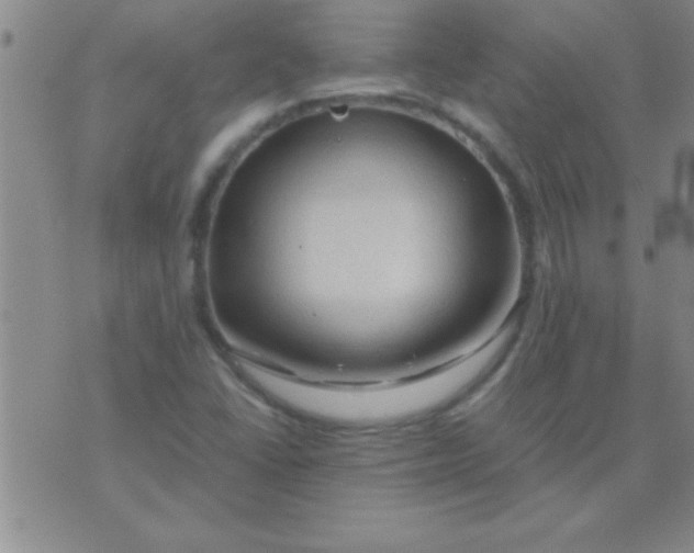 X0000075821406200610061745