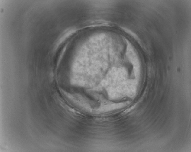 X0000075821407200610061745