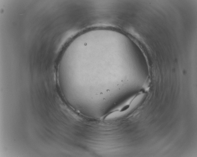 X0000075821408200610061745