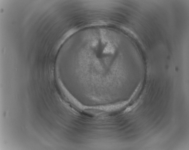 X0000075821409200610061745