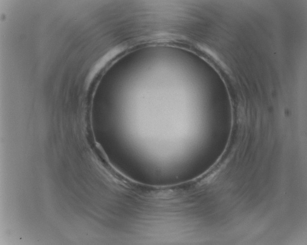 X0000075821410200610061745