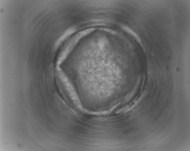 X0000075821411200610061745