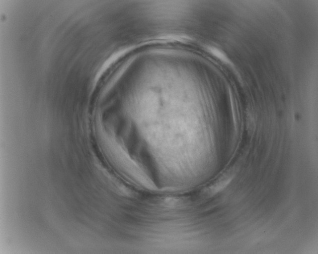 X0000075821412200610061745