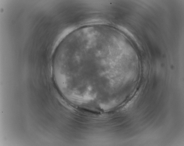 X0000075821413200610061745