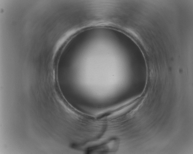 X0000075821414200610061745