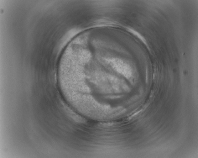 X0000075821415200610061745