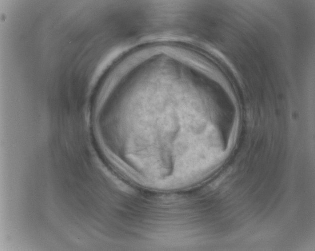 X0000075821416200610061745