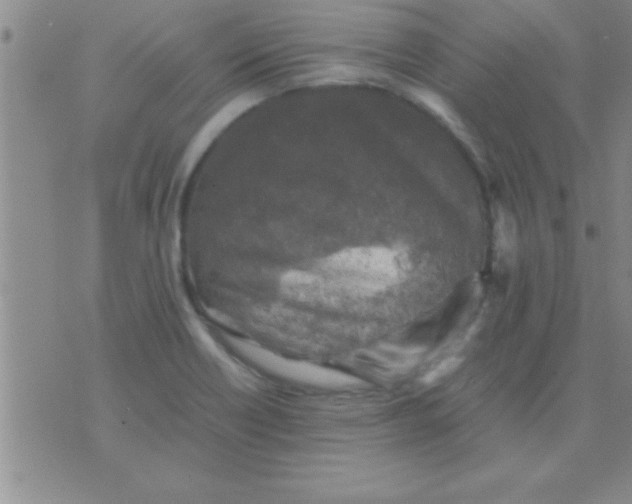 X0000075821418200610061745