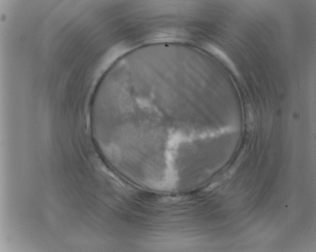 X0000075821419200610061745