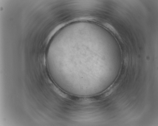 X0000075821420200610061745