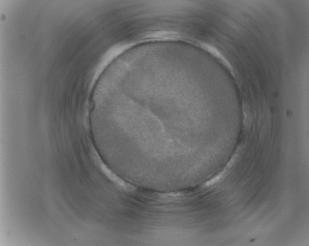 X0000075821421200610061745