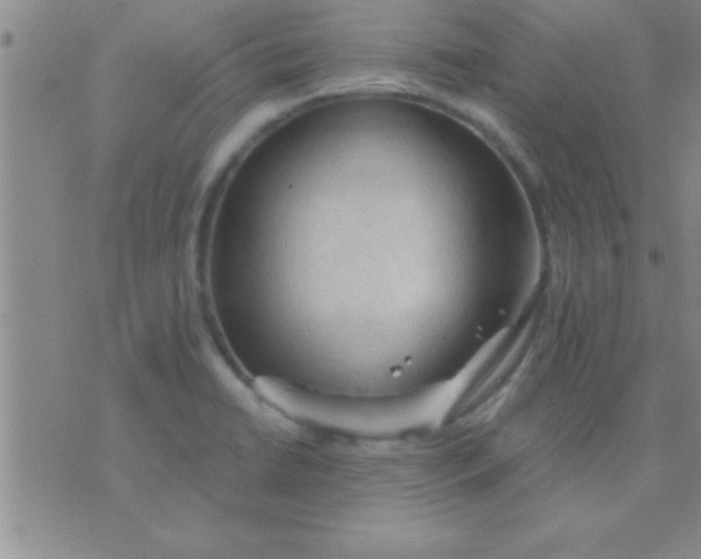 X0000075821422200610061745