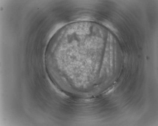 X0000075821423200610061745