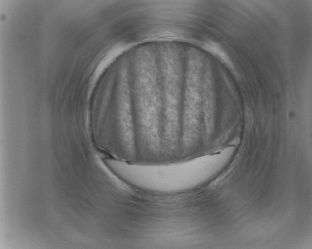 X0000075821424200610061745